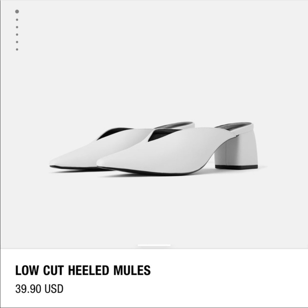 Zara Low Cut Pointy Toe Heel Mules